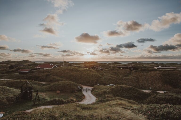 Navigating the Danish Job Market